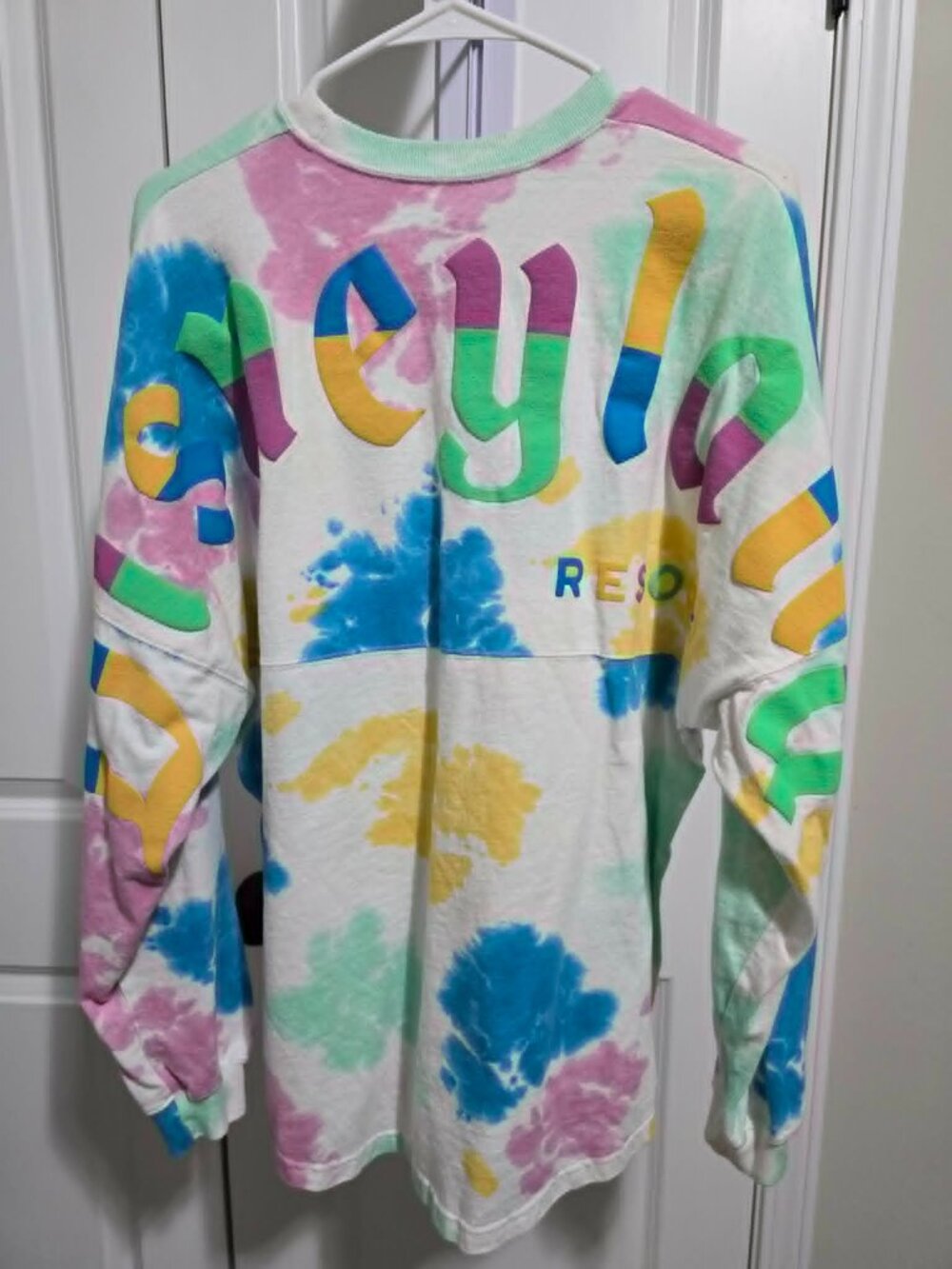Disney Spirit Jersey